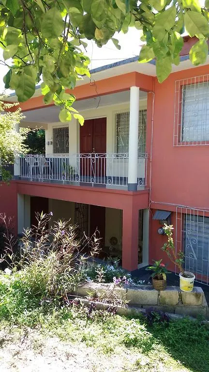 Dream Hostel Montego Bay