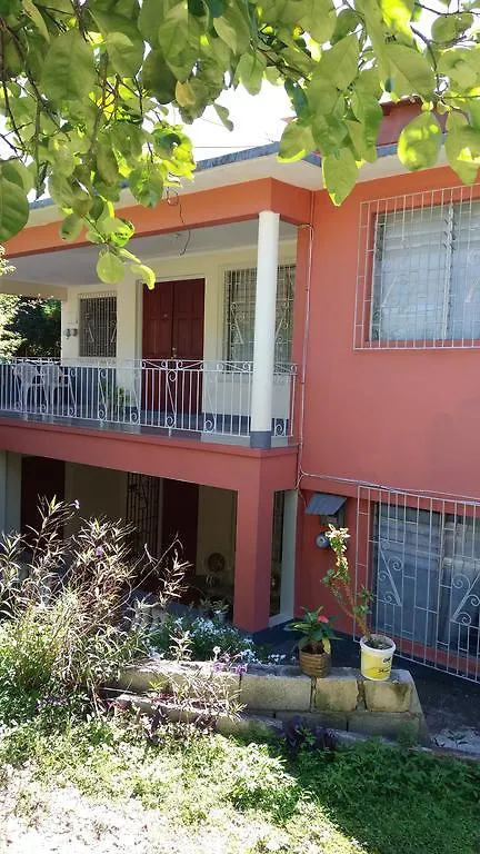 Dream Hostel Montego Bay
