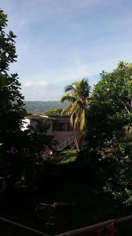 Dream Hostel Montego Bay Jamaica