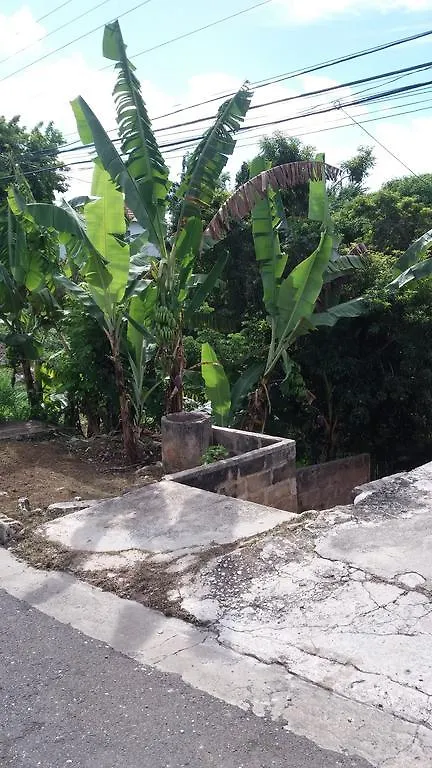 Dream Hostel Montego Bay