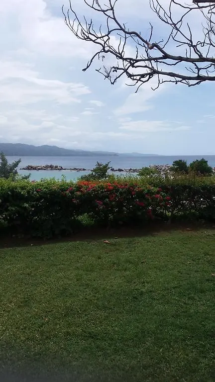 Dream Hostel Montego Bay